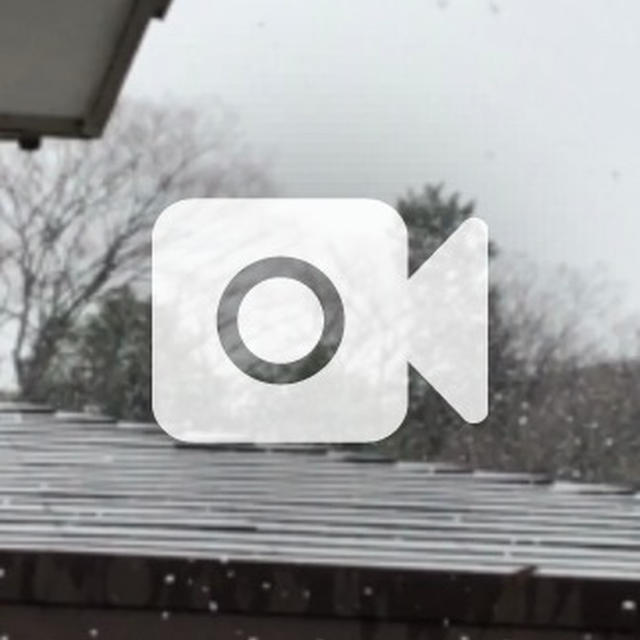 ゆ、雪！？\(°Д° )/.☃︎.'.°☽