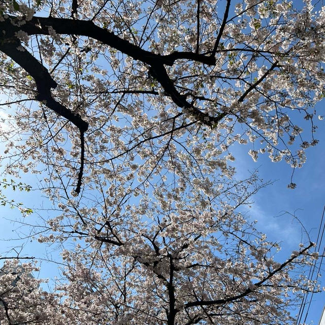 【ご報告させて下さい】　近況や、今後についてお話しします