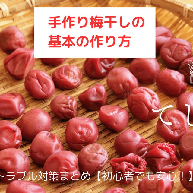手作り梅干しの基本の作り方とトラブル対策まとめ【初心者でも安心！】