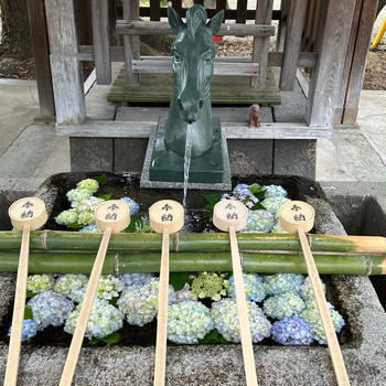 銀行とサンドイッチと紫陽花と
