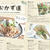 アメリカ サンフランシスコのフリーペーパー 「Ｊ weekly」に掲載！