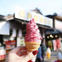 〈週末trip〉茨城歴史漫遊。カリカリ梅入りソフトクリームで一休み ：『偕楽園』水戸