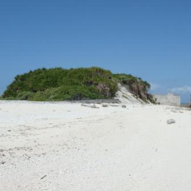 ＊神山島＊
