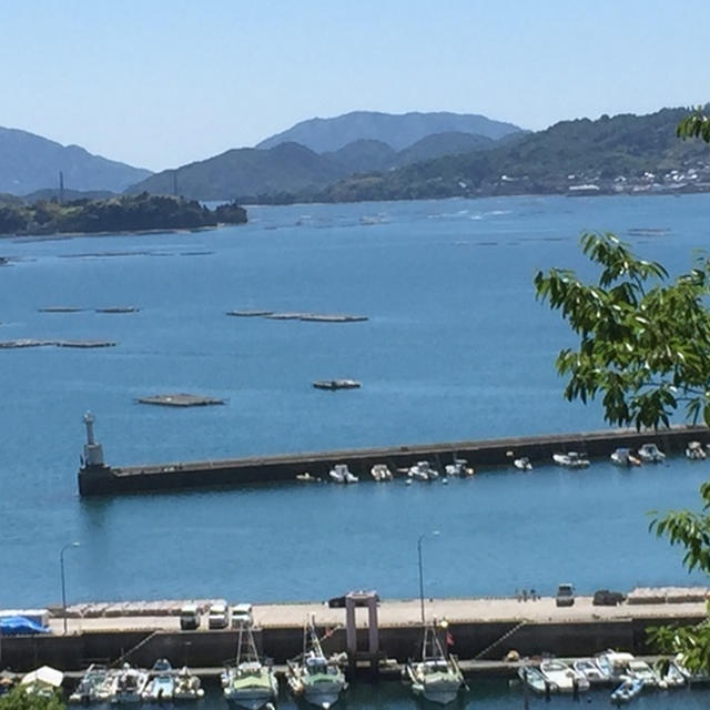 瀬戸内海を眺めながら‥そして森林浴も‥