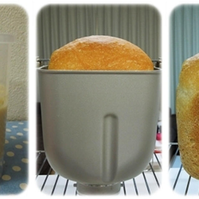 *ホシノの食パンでサンドイッチ*