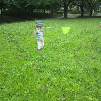 虫取り