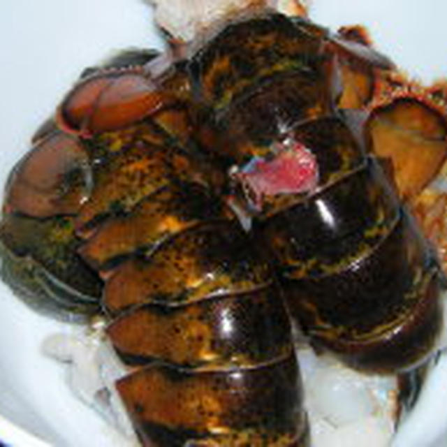 １週間のご無沙汰です・・・・