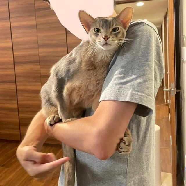 抱っこされる時に「ぎゅっ」とするのがかわいい(*´ω`*)