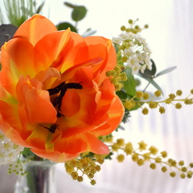 3月11日
