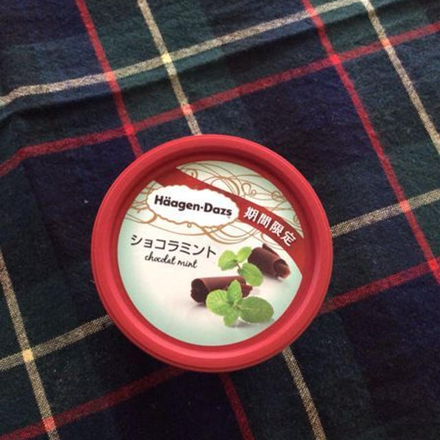 ハーゲンダッツのミントチョコ