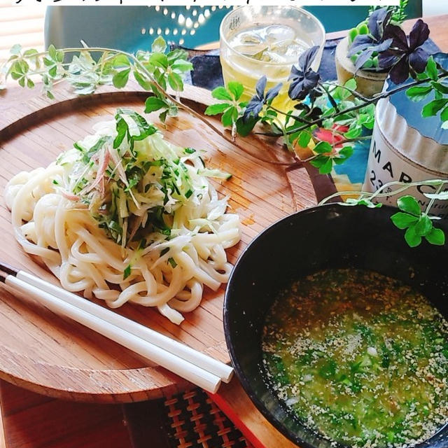 埼玉名物！すったてうどん