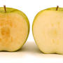 皮をむいても茶色く変色しない遺伝子組み換えリンゴに賛否 /アメリカ