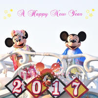 ＊A Happy New Year＊
