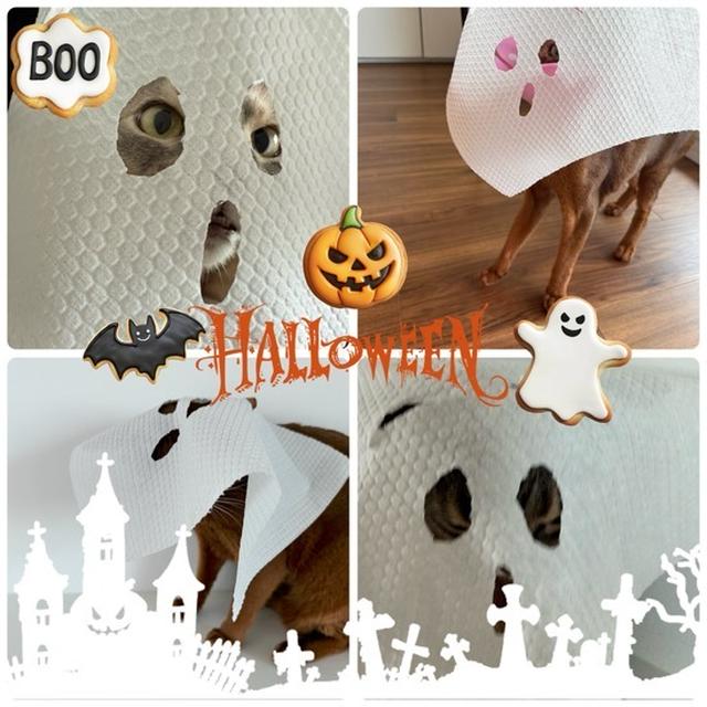 ハロウィン🎃ですね