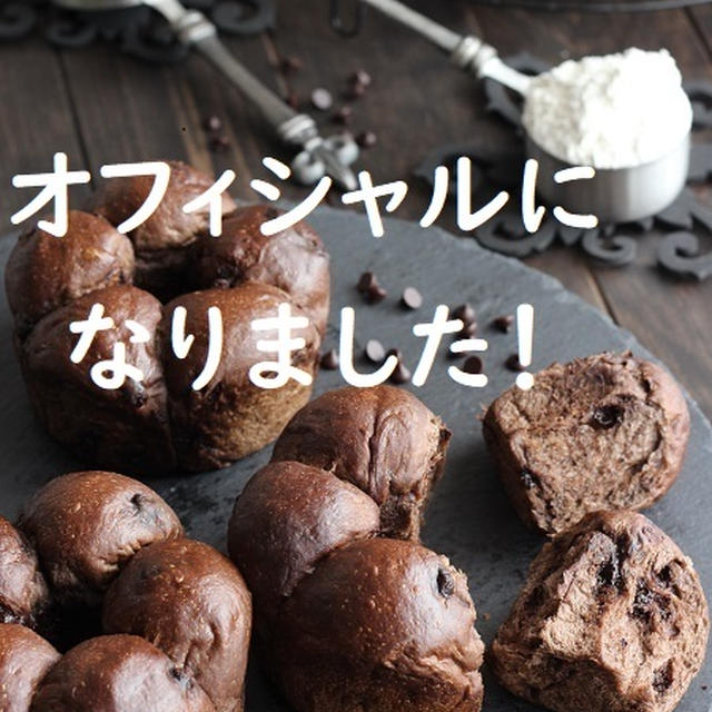 オフィシャルブロガーになりました。