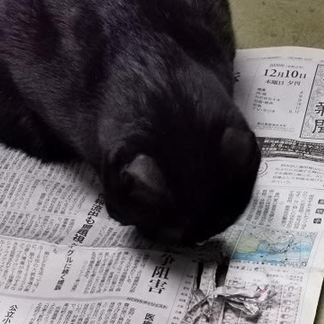 月に代わってお仕置きよ♪