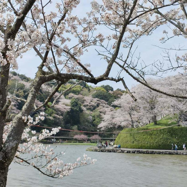 今日も両親とお出かけしてきます