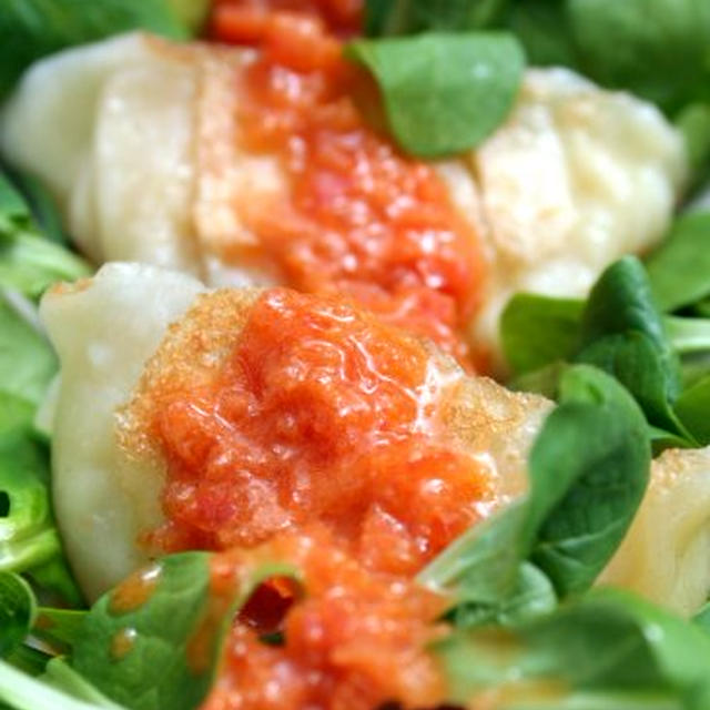 Seafood Potstickers with Ginger Tomato Sauce海鮮餃子サラダと生姜トマトドレッシング