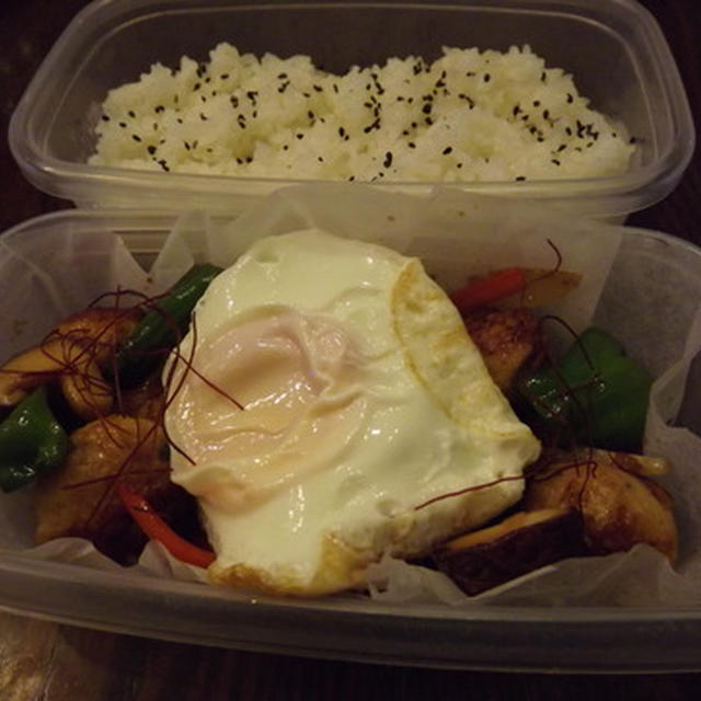今朝の五目鳥だんご、弁当～＾