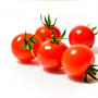 ミニトマト 値段 プチトマト 1キロあたり平均757円 相場や旬の情報まとめ