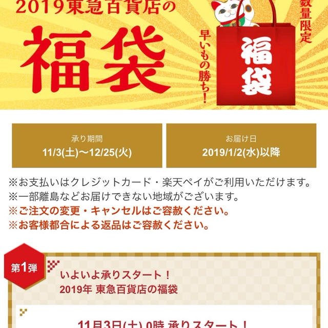 11/3  0時〜販売開始　東急百貨店オンラインストア 福袋 ニールズヤード他