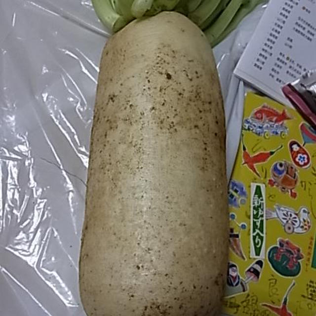 なにわの伝統野菜　新鮮！田辺大根を使った簡単料理☆