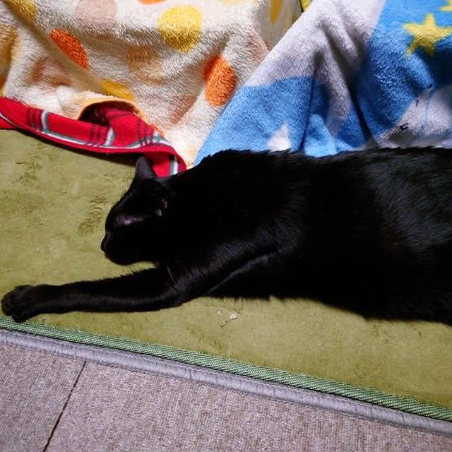 おしっこが出ない事件