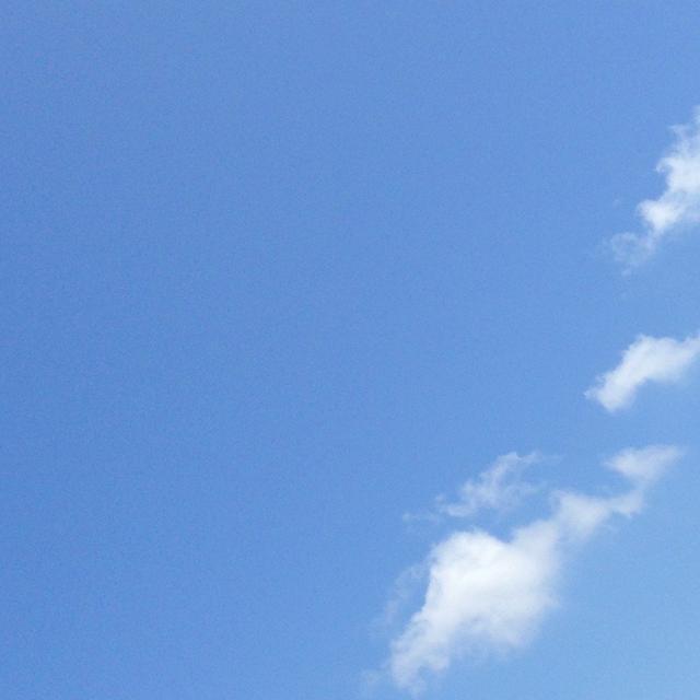 体育祭のお弁当とＣＯＣＯ壱番屋の十辛