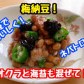 【レシピ】暑い夏にぴったり！ネバとろ梅納豆！