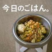 皮膚集中ケア23日目！手作り犬ごはん、まだ、続いてます（笑）