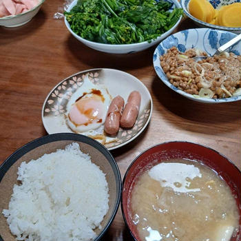 付き添いヘルパー　出張2日め　ドライブと夜の宴
