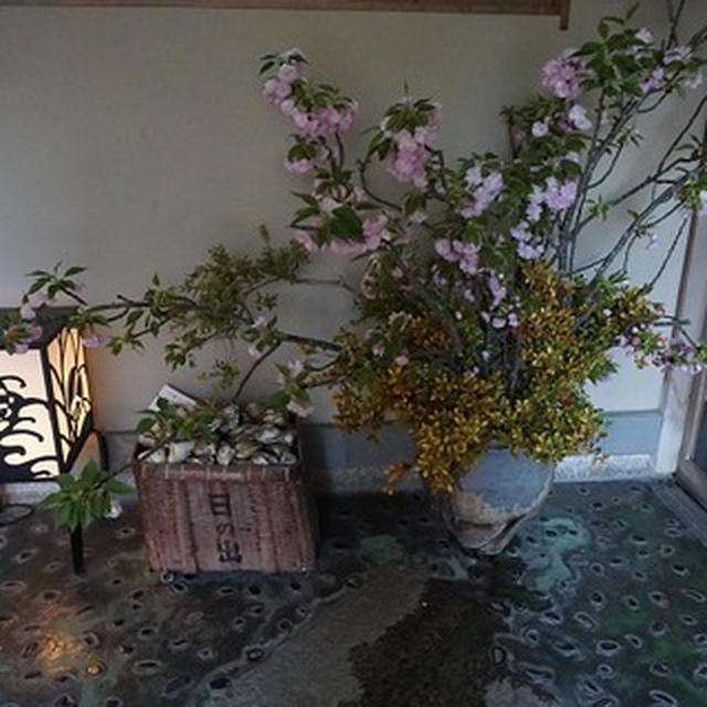 念願のはまぐり・・・日の出