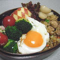 鶏ごろカレー炒飯目玉焼きのっけ弁当・・タイトル長いか・・