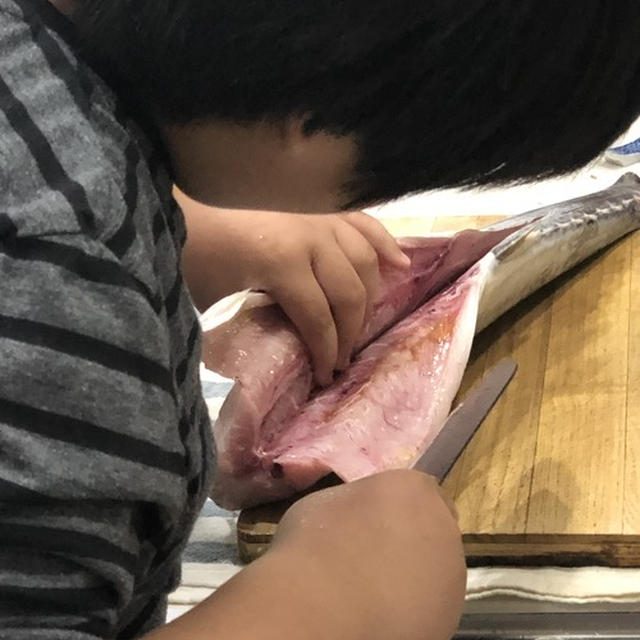 60センチのさわらをさばいてみたよ！小4男子クッキング