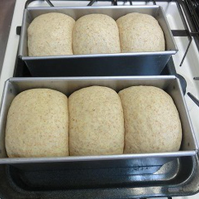 胚芽食パン（皆さん。初めての食パン作り）