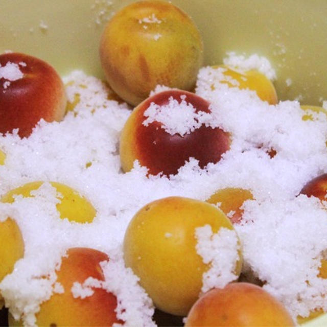 梅干作り 塩漬け 余った梅で完熟梅ジャム レシピブログ