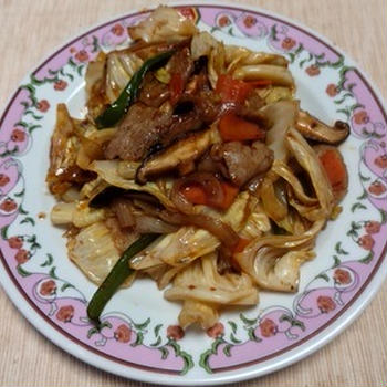 豚肉とキャベツ他の焼肉のたれ炒め