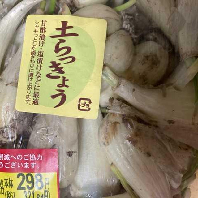 主婦とまたも絶望感