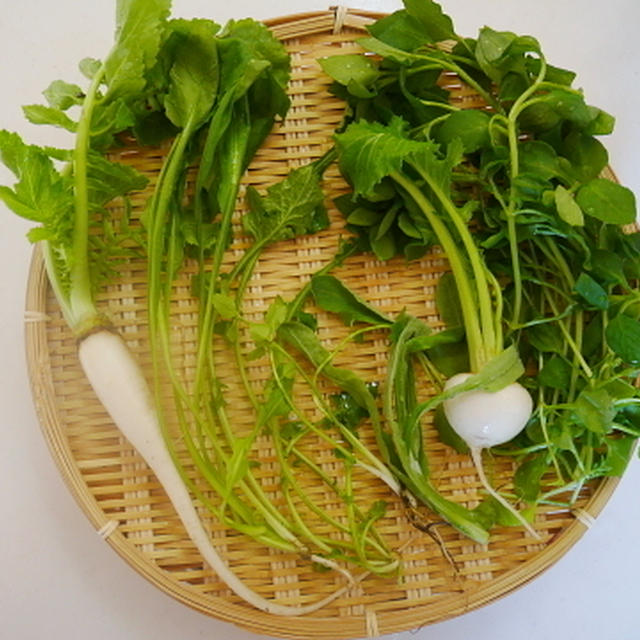 今日は七草粥の日
