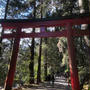 今年も箱根神社