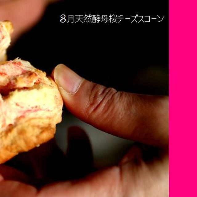 クロワッサン天然酵母「桜とチーズ・スコーン」