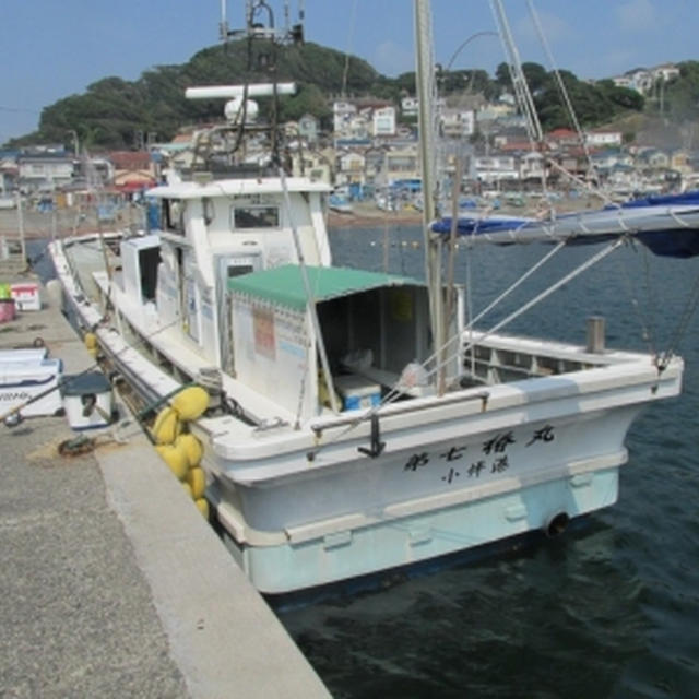 【相模湾・小坪】青物シーズン到来！！