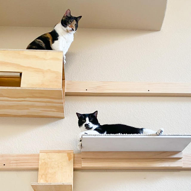 長男設計による『キャットウォーク』の建設作業中。