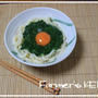 冷たい麺料理レシピ色々♪　　もちろん簡単・時短です♪
