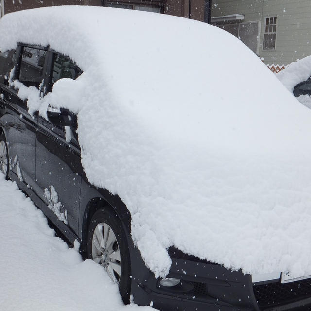 大雪！！