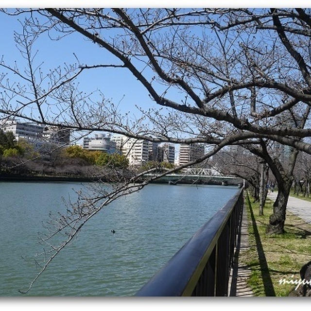 最後の景色　と　初めての石窯和ピザ