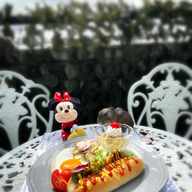 モーニングはホットドッグ♪&あっきーなさんTHE突破ファイル！