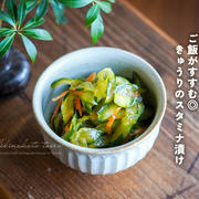 ご飯がすすむ◎きゅうりのスタミナ漬けと、今日のおべんとう