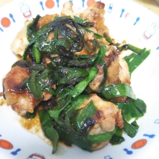 ふるさと納税☆鶏肉がどっさり