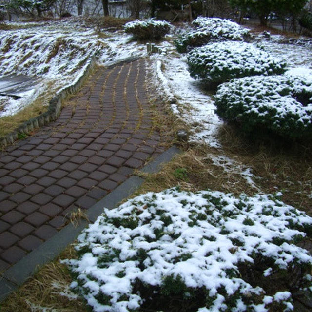 朝雪景色！と縁日ﾒﾆｭｰ？